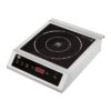 Generic Commercial Induction Unit