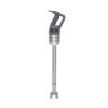 Robot-Coupe Hand Immersion Blender